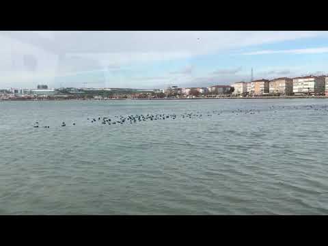 Sit by the sea and chat with family