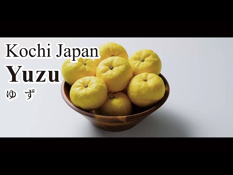 Yuzu