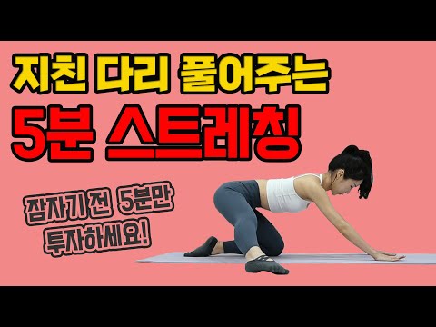 따로 마사지 받을 필요 없습니다! 저녁에 5분만 투자하세요! - 세모핏 #127ㅣ허벅지 종아리 골반 고관절 스트레칭 다리마사지 하체비만 하체근력 5분운동 홈트