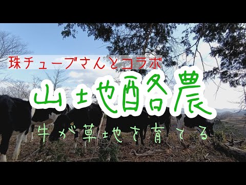 【コラボ企画】山地酪農〜たまの牧へ〜