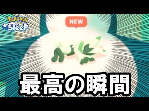 おなかの図鑑埋めが一番嬉しい・・・。【ポケモンスリープ】