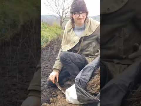 Volunteering at Forus Tree - Community Tree Nursery #community #treeplanting #calderdale #natural