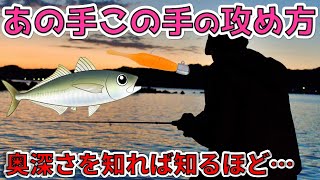 【アジング】あの手この手の攻め方【鯵職人直伝】