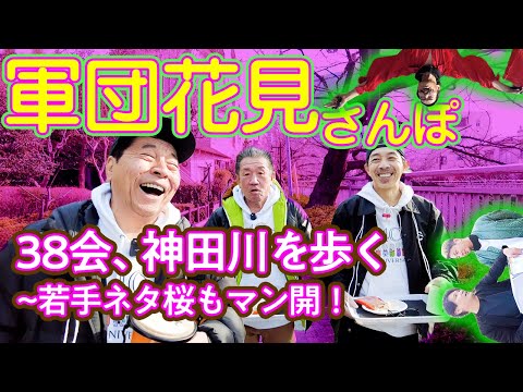 【神田川沿い】たけし軍団最若手38会、花見さんぽ2024！！【若手ネタ桜総登場】