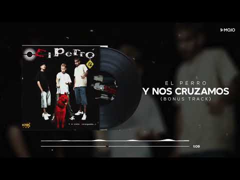 El Perro - Y Nos Cruzamos (Bonus Track) (Cover Audio)