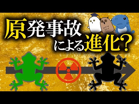 【解説】原発事故からの放射線と黒くなったカエル【 進化論 / 科学 / 放射線 】