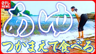 【夏のグルメ旅】栃木あゆ街道 塩焼き・刺身あゆ料理目白押し!清流でやな漁体験『every.特集』