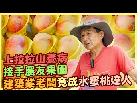 【桃園復興區】拉拉山水蜜桃 覃明達力推微生物菌友善果園|用心的產業|美麗心台灣(433)