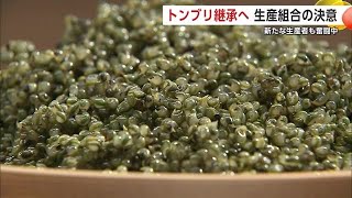 “畑のキャビア”トンブリの生産技術継承へ　生産組合の決意のもと新たな担い手が奮闘中　秋田・大館市 (24/09/19 22:00)