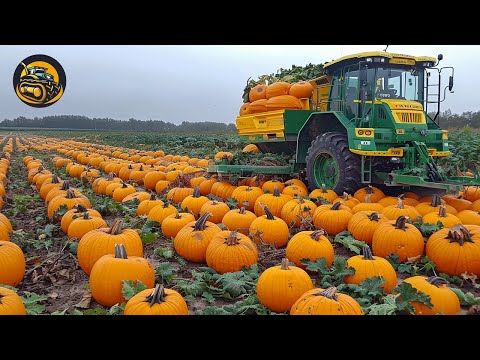 How to Plan for Pumpkin Harvesting Season and More - Agriculture with Grand Machines