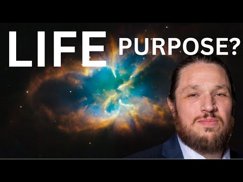 What Is The Purpose Of LIFE? - Wesly Lapioli