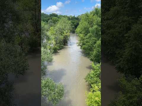 Toronto hit with massive amounts of rain in a short time. Tons of flooding and power outages 🌊