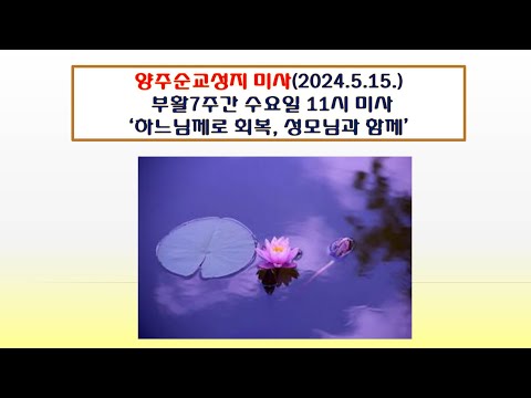 양주순교성지 미사(부활7주간 수요일 11시 미사 2024.5.15.'하느님께로 회복, 성모님과 함께')