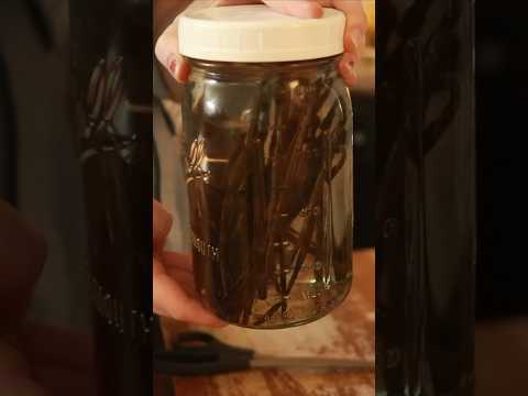 Do y’all keep a vanilla mother jar? I’ve made lots of vanilla before, but never had a mother jar!