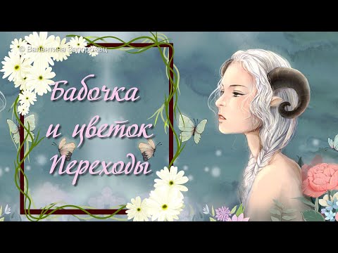 Цветок и бабочка Переходы для Proshow Producer