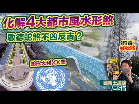 九運樓盤啟德｜空中花園蛇煞不凶反吉？解構蛇陣、蜈蚣電塔煞 化解4大都市窗景形煞｜靈龜下海香港陸沉傳聞｜蝠鼠吊金錢 風水擺設化煞 紫微斗數 香港經濟 龍年佈局 香港樓市 九運風水【囍趣睇相王EP96】