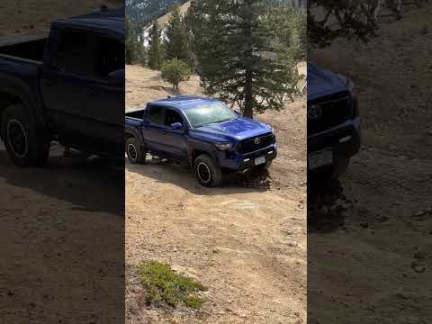 Our New Tacoma Is Fixed... Does 4WD Hold Up Off-Road? #toyotatacoma #offroad #toyota #tacoma