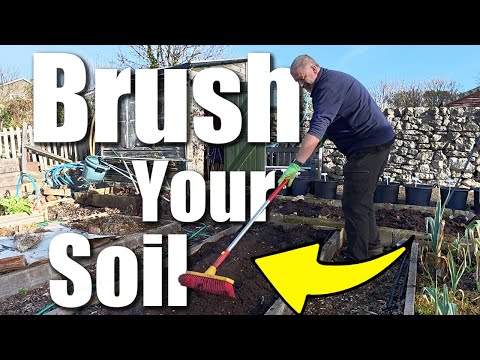 Garden Update | Getting Stuck In Old School