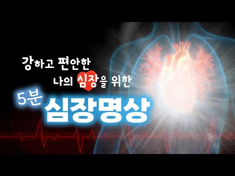 5분 심장 명상 | 강하고 편안한 나의 심장을 위한 명상(차의과대학 이영좌 교수님) #명상 #치유 #동기부여 #에너지 #심장