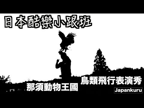 【日本酷樂小跟班】沒想到可以這麼近！那須動物王國鳥類飛行秀！！