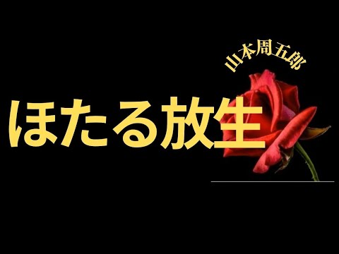 【人情時代劇】【朗読】 ほたる放生  山本周五郎作　朗読　芳井素直