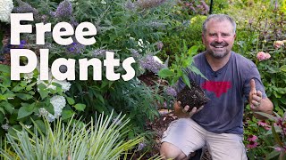 How to Make New Plants Fast! 🪴🌿💮🌺 - Easy Plant Propagation