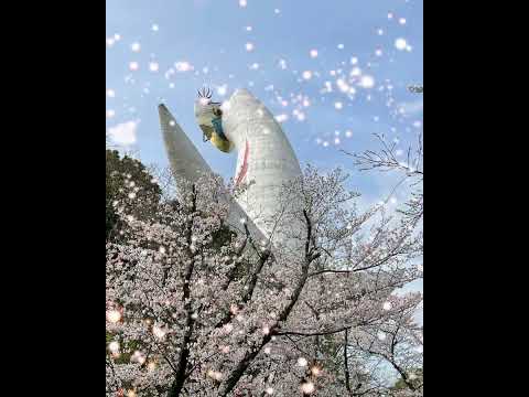 【お花見】有名な万博の桜ってどんなの？