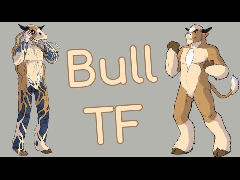 Bull Transformation / Bull TF