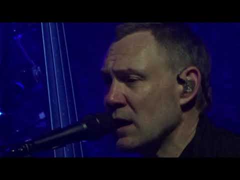 David Gray - Please forgive me (live in Tivoli/Vredenburg 2019)