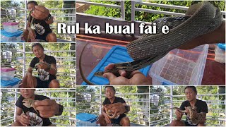 Rul ka bualfai e