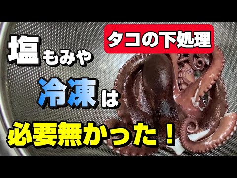 一瞬でタコのヌメリが取れる裏ワザを見つけました【92釣目】