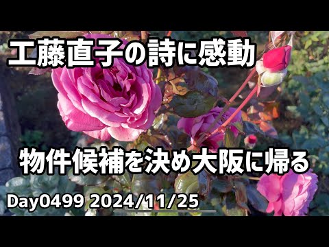 Day0499_なんとか猫可能、無職可能の賃貸物件候補を見つけて申請、大阪に帰る。工藤直子の詩に感動。【2024年11月25日】