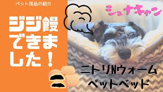 【ペット用品】ニトリNウォームペットベッド　”ミニチュアシュナウザーが愛用するドッグベッドを紹介”