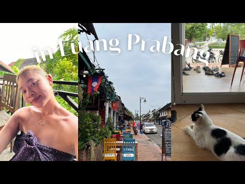 Slow travel life in Luang Prabang🤍| Lemongrass sauna🍋🌿|Cat cafe🐈☕