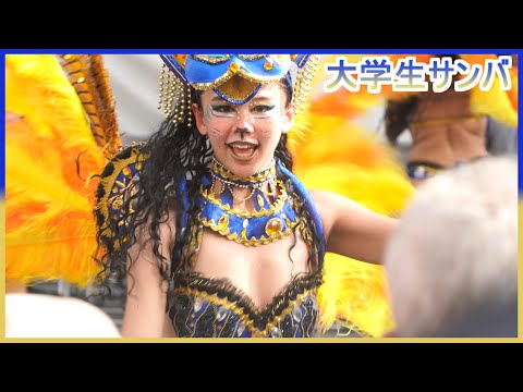 4K 大学生 浅草サンバカーニバル 2024 S1-⑤ ウニアン・ドス・アマドーリス Asakusa Samba Japan 追いかけバージョン