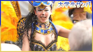 4K 大学生 浅草サンバカーニバル 2024 S1-⑤ ウニアン・ドス・アマドーリス Asakusa Samba Japan 追いかけバージョン