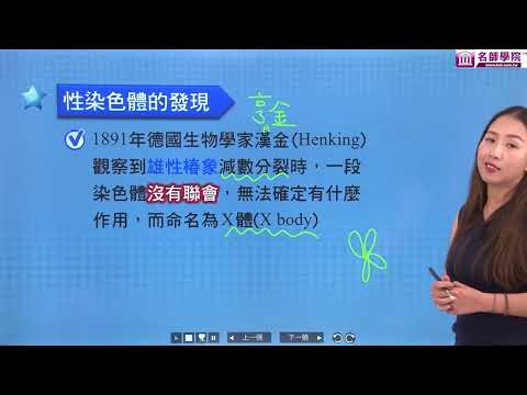 【名師學院】高一生物　體染色體及性染色體