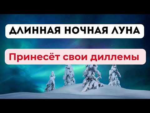 Длинная ночная луна. Принесёт свои диллемы.