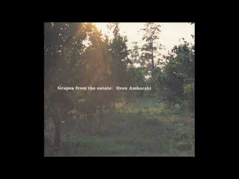 Oren Ambarchi || Grapes From The Estate (2004) Full Album