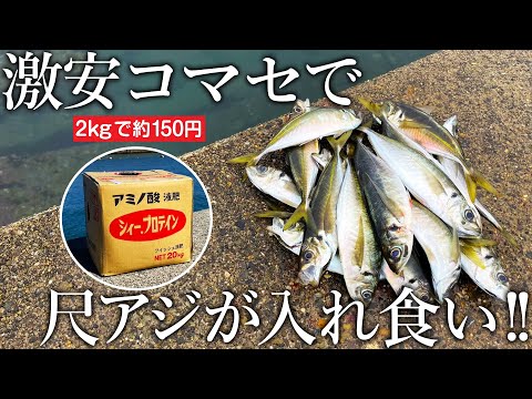 激安コマセが釣れすぎる！魚を高濃縮した液体肥料シィープロテイン配合のコマセで尺アジまで入れ食い