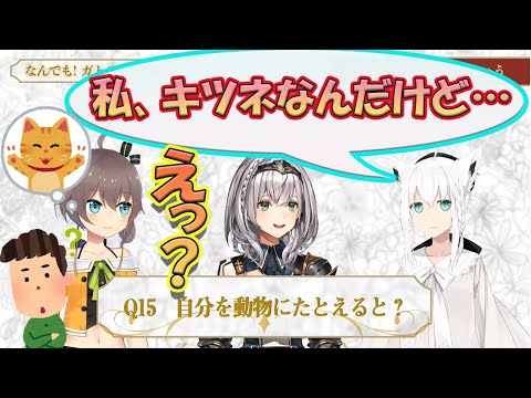 【白上フブキ/夏色まつり/ 白銀ノエル】ホロメンとリスナーにネコだと思われている白上フブキ　【ホロライブ/切り抜き】