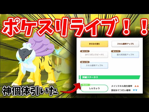 とんでもないライコウを引いてしまったポケスリライブ配信【ポケモンスリープ】