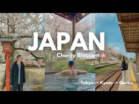 My First Solo Trip in Japan 🇯🇵 7 Days: Spring In Tokyo, Kyoto & Osaka Nara - Japan Cherry Blossom