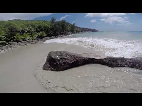 Seychelles Hike