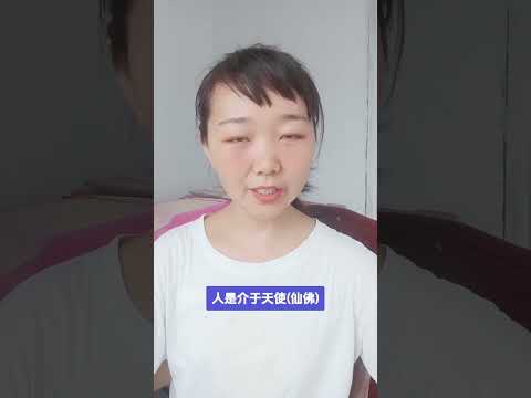 人生的位置  #禅院文集 #人类人生篇