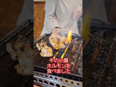 焼き肉店『豊道園』で極上牛小腸ホルモンを味わいました。　#グルメ #焼き肉 #福山市