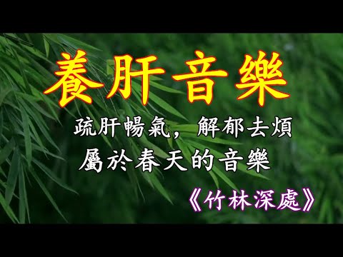 五音療疾丨疏肝暢氣，解鬱去煩，屬於春天的音樂《竹林深處》！