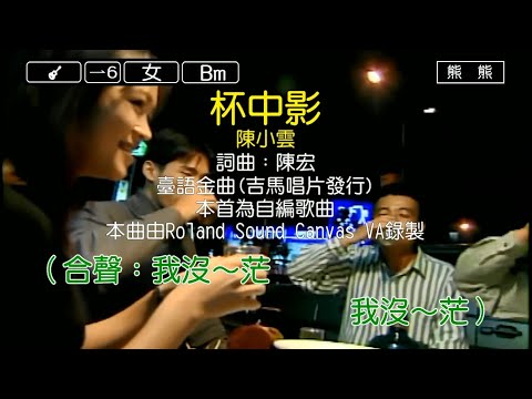 杯中影-陳小雲(Karaoke伴奏)