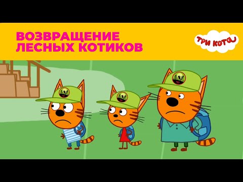 Три кота | Сезон 4 | Возвращение лесных котиков