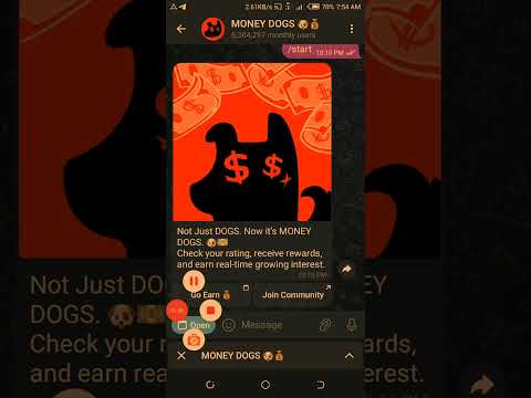 Money Dogs Airdrop Listing Postponed | Money Dogs Airdrop Update - MONEY DOGS Airdrop Withdrawal